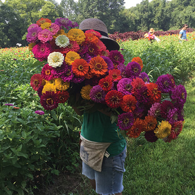 Cater to the special needs of flowers at harvest